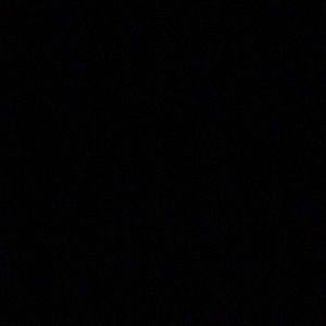 Meet your Posher, Angelina